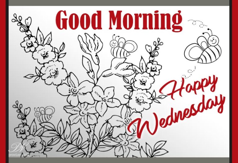 Have a nice and great Wednesday Have a nice and great Wednesday