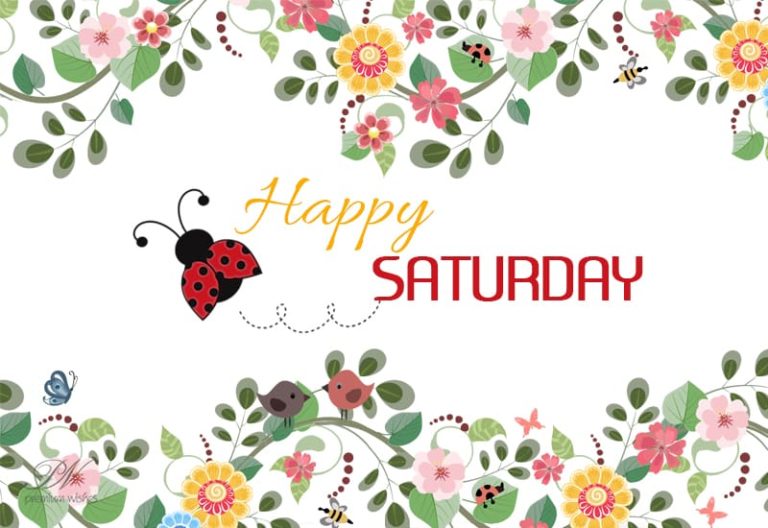 Happy Saturday – Have a beautiful Saturday