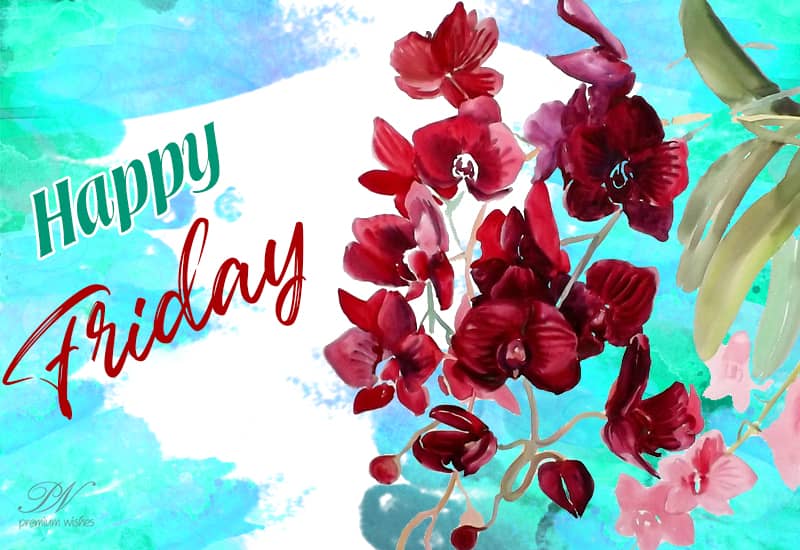 Happy Friday - Wishing You a Wonderful Start to the Weekend!