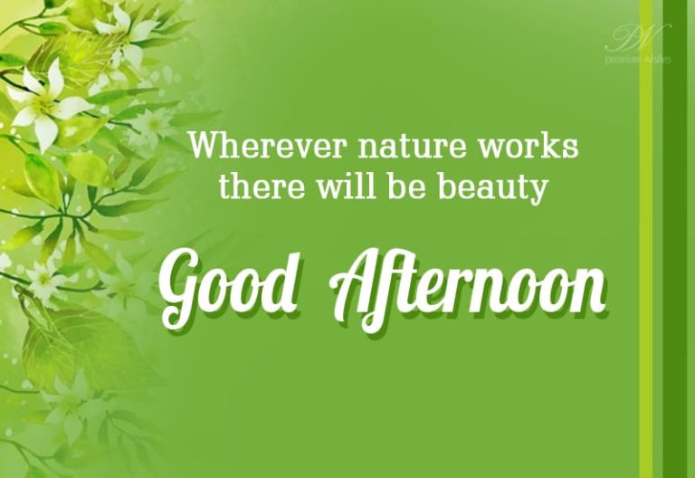 Good Afternoon Wishes