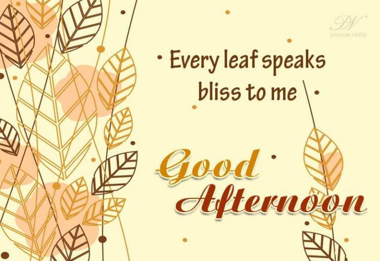 Good Afternoon Wishes