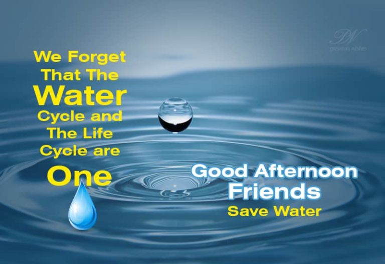 Good Afternoon Wishes