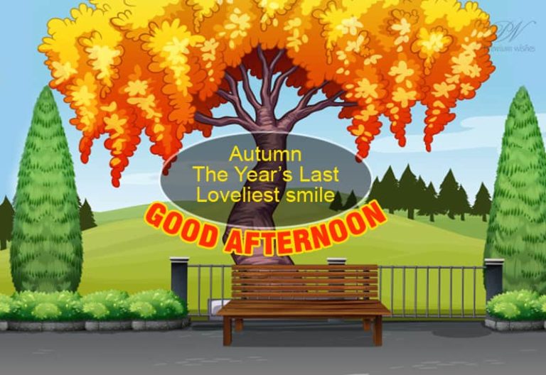 Good Afternoon Wishes