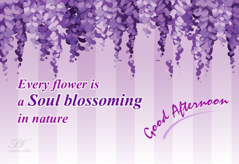 Good Afternoon Wishes