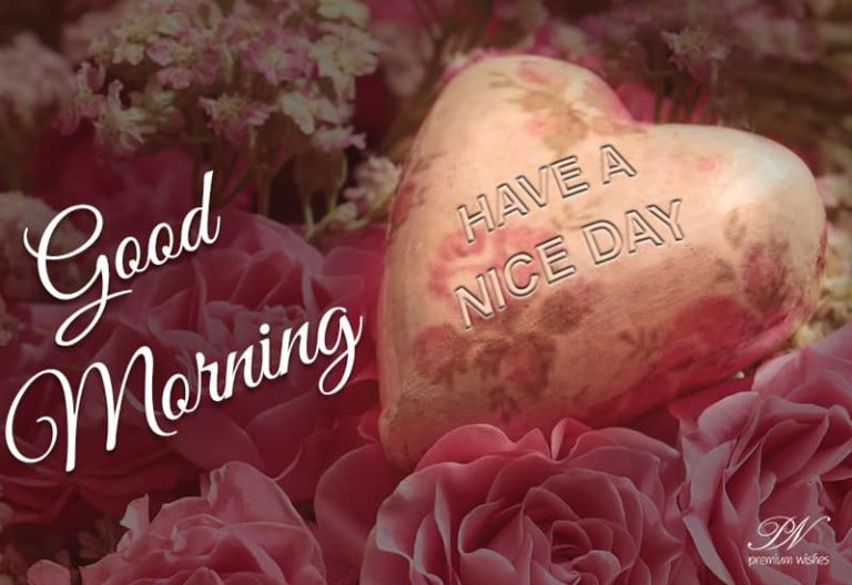 Have a nice day ahead – good morning friends