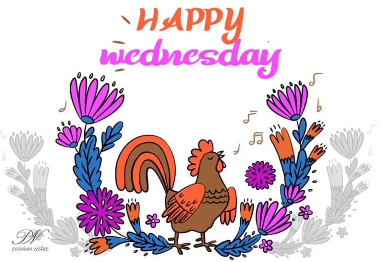 Happy Wednesday – Wishing you a pleasant Wednesday