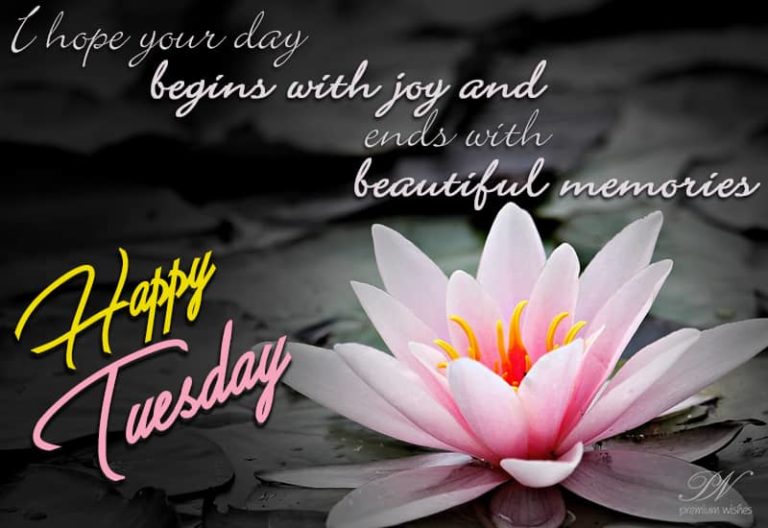 Wishing you a happy and joyous Tuesday