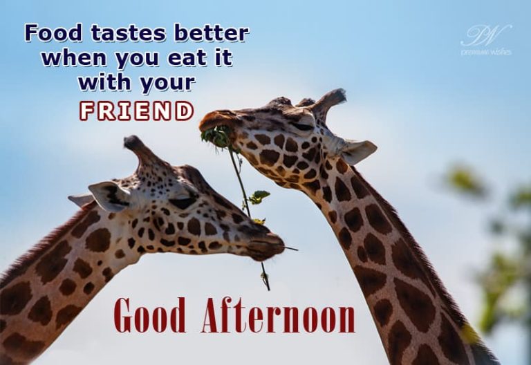 Good Afternoon Wishes