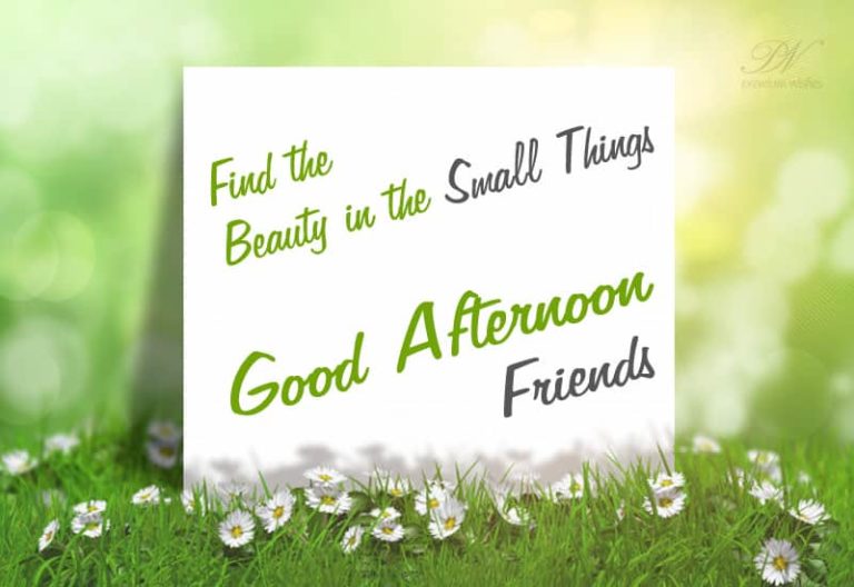Good Afternoon Wishes