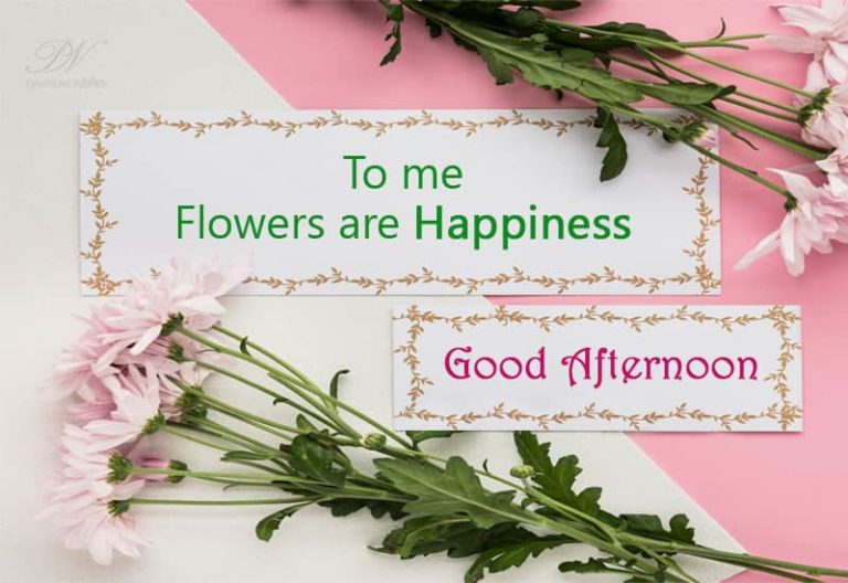 Good Afternoon Wishes