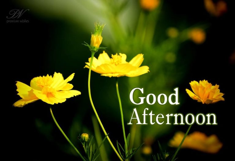 Good Afternoon Wishes
