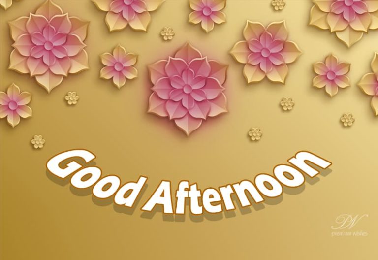 Good Afternoon Wishes