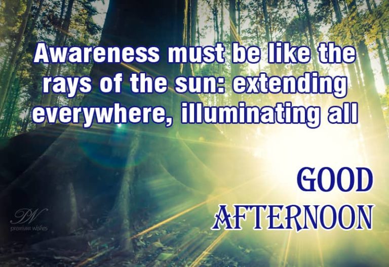 Good Afternoon – Awareness must be like the rays of the Sun