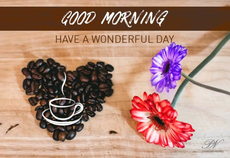 Good Morning – Have a wonderful day