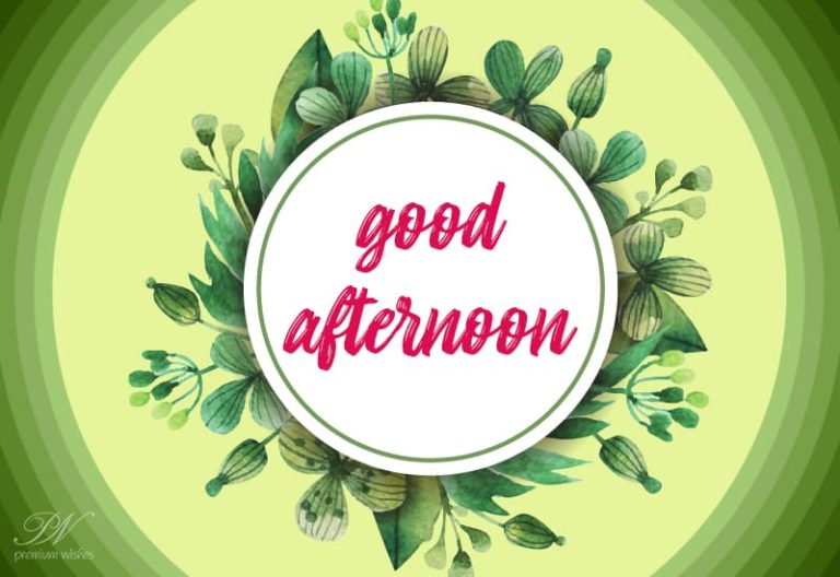 Good Afternoon Wishes