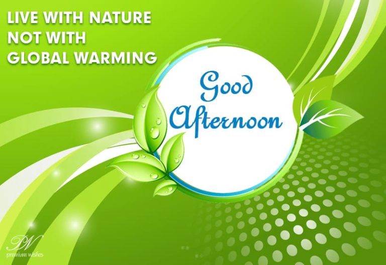 Good Afternoon Wishes