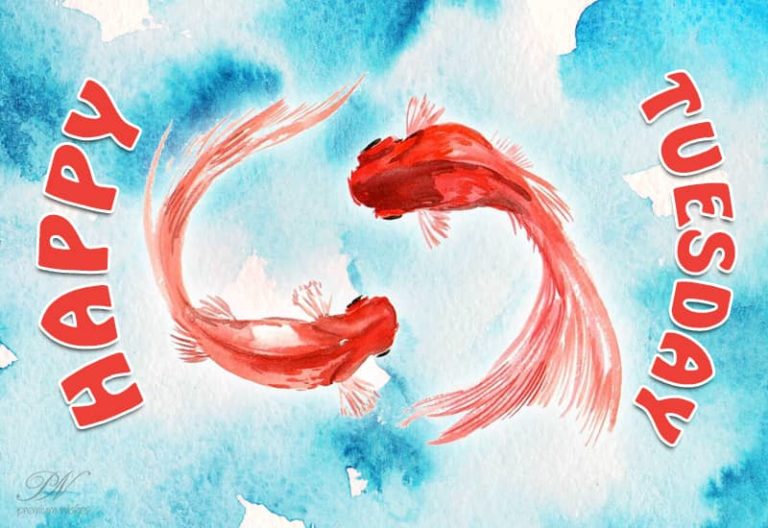 Happy Tuesday – Be Happy