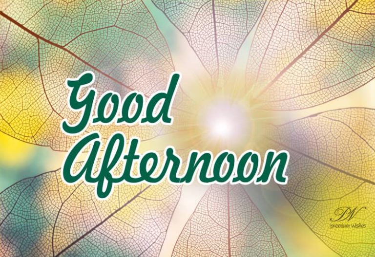 Good Afternoon Wishes