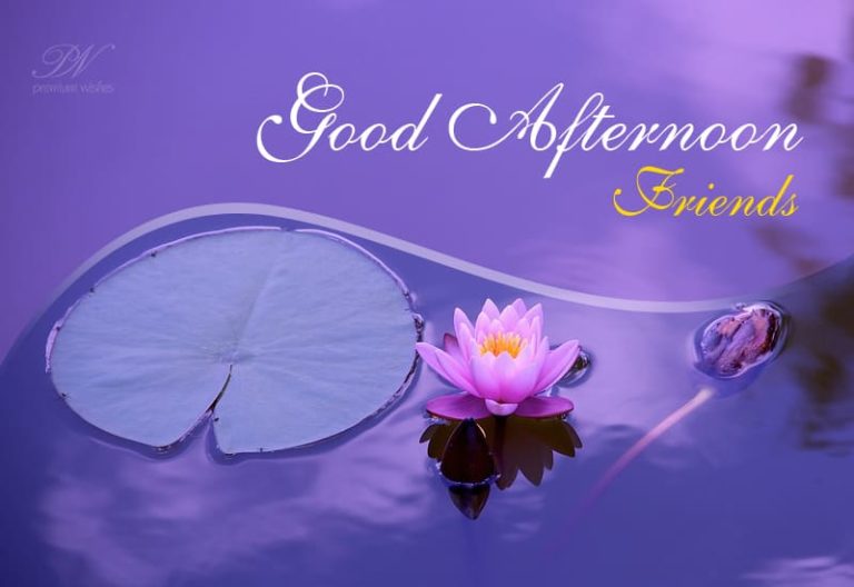 Good Afternoon Wishes