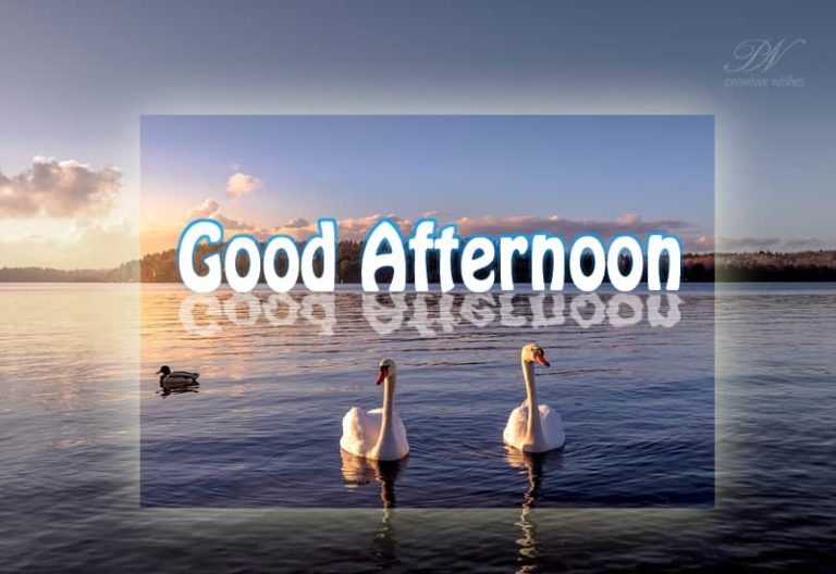 Good Afternoon Wishes