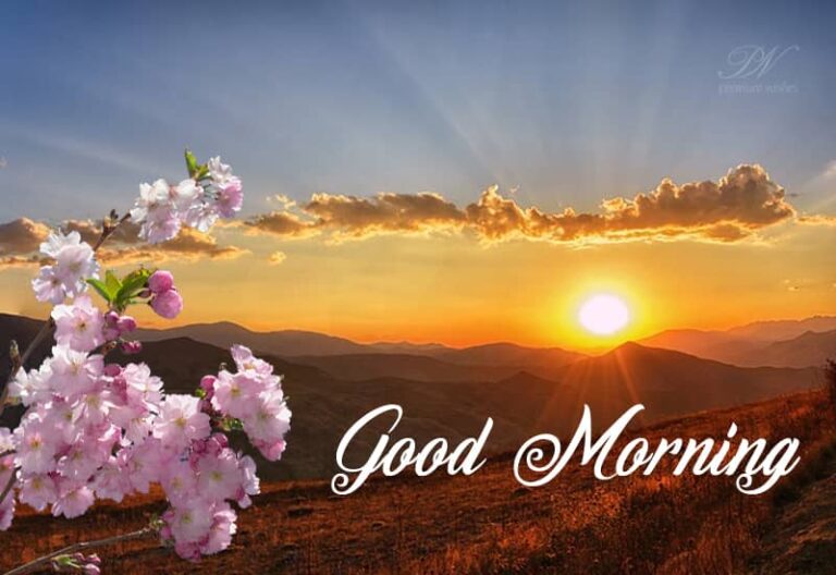 Good morning dear enjoy the Sun