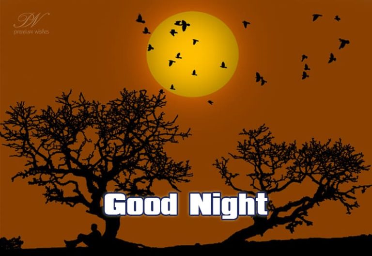 Good Night Wishes