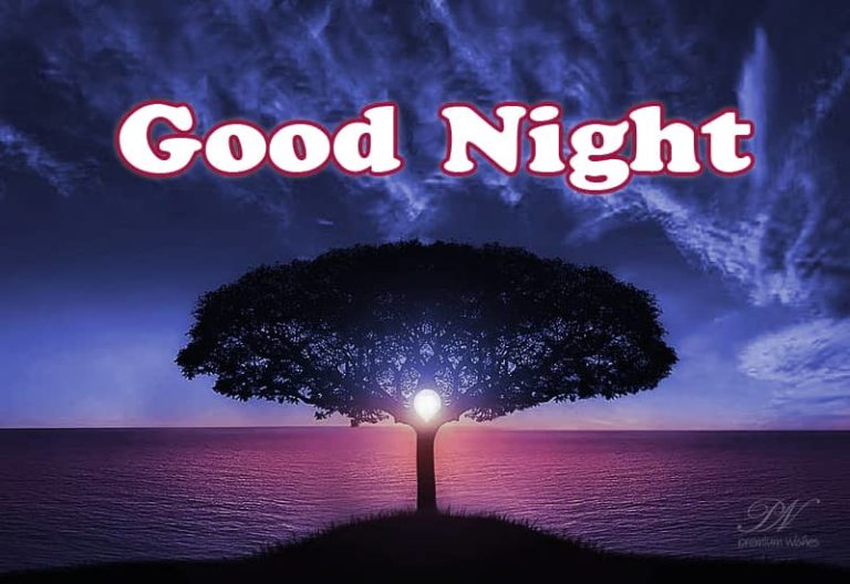 Good Night Wishes