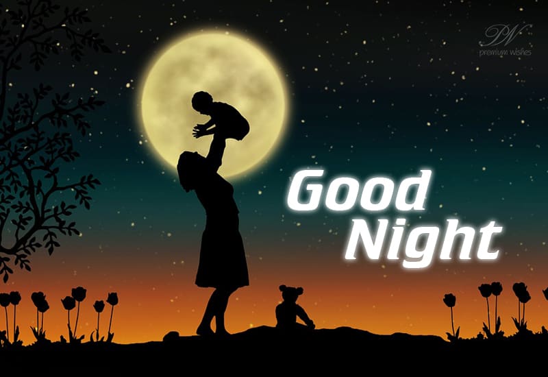 Good Night Wishes | Premium Wishes