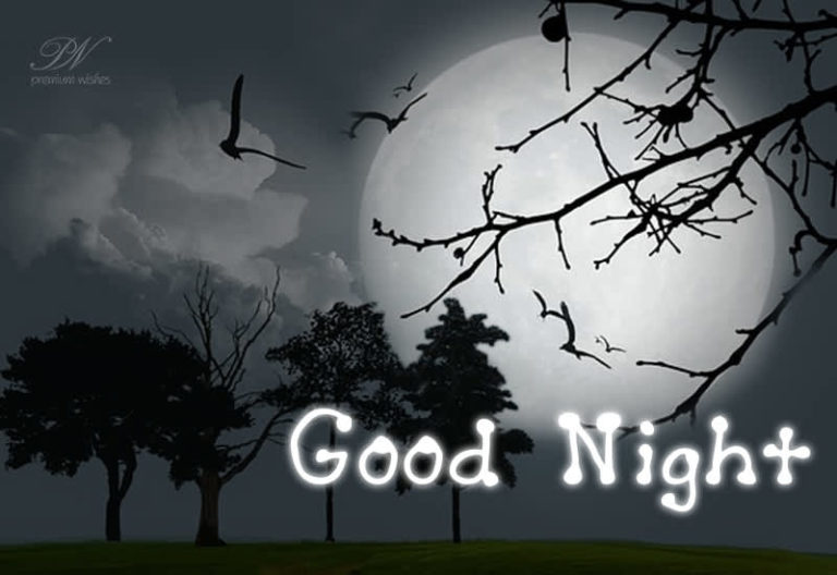 Good Night Wishes