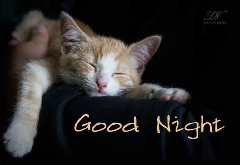 Good Night Wishes