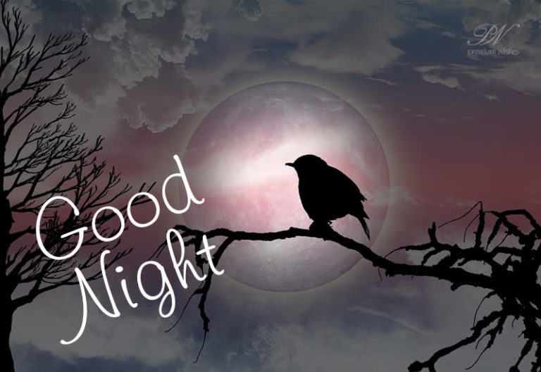 Good Night Wishes