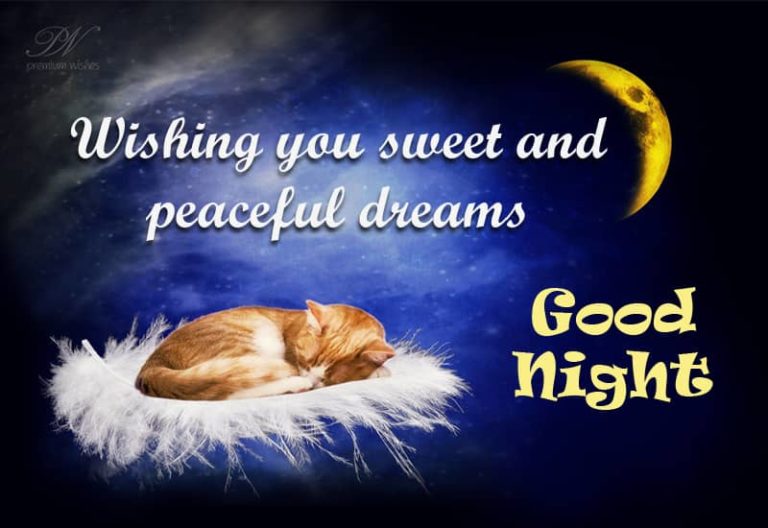 Good Night Wishes