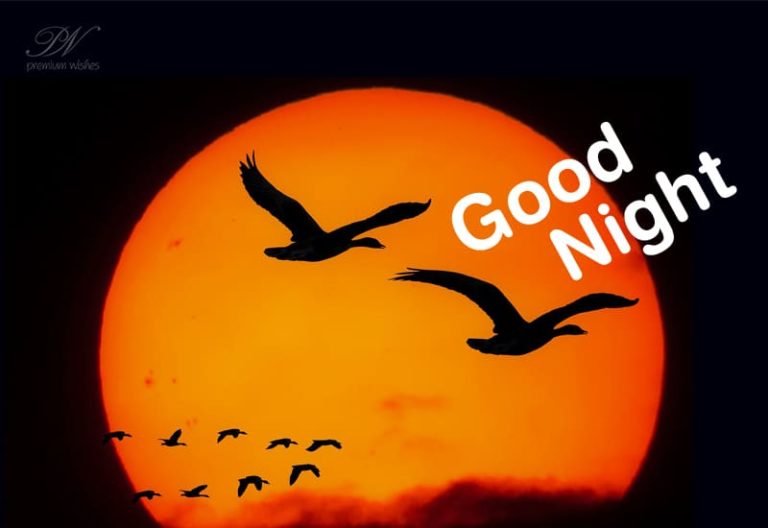 Good Night Wishes