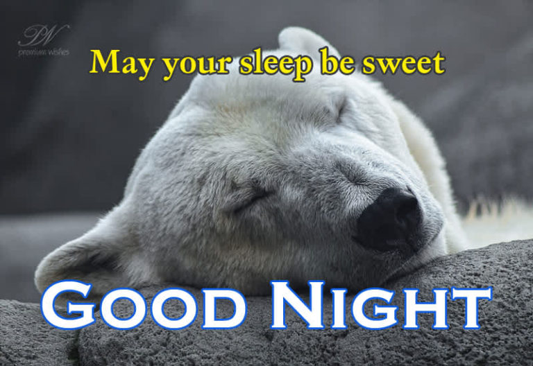 Good Night Wishes