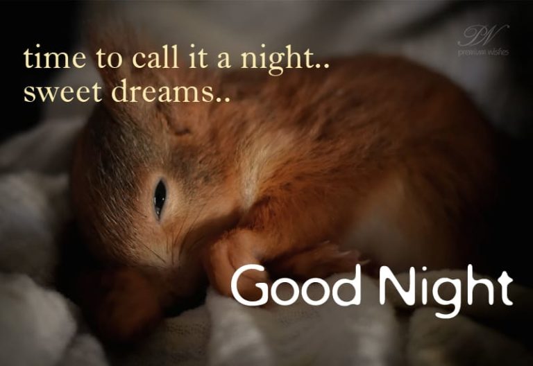 Good Night Wishes