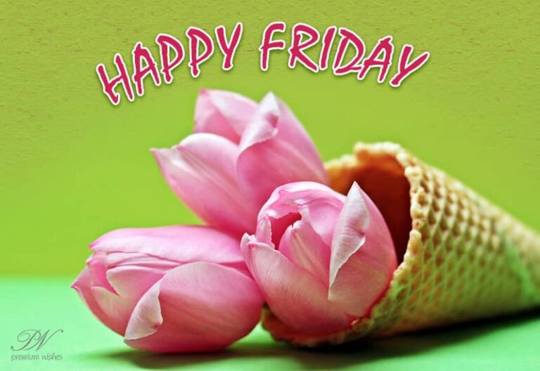 Happy Friday – Prepare For The Festivities