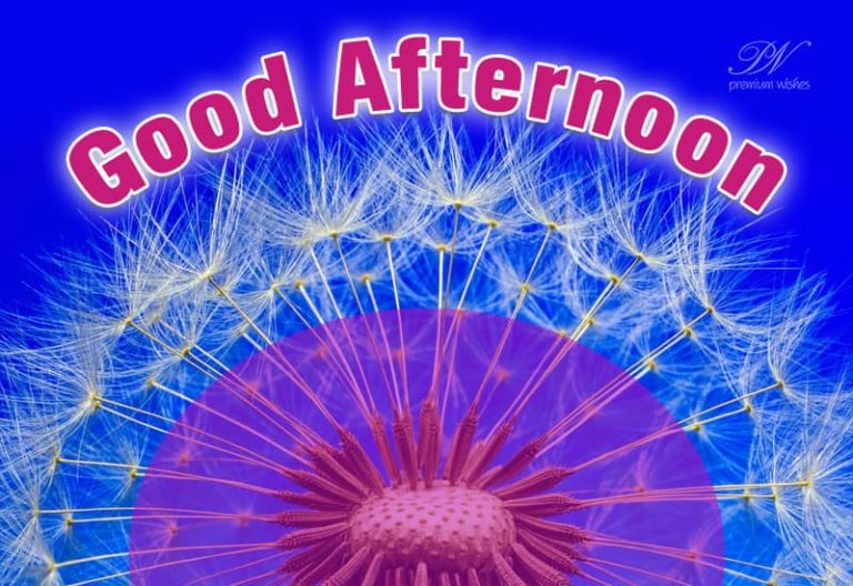 Good Afternoon Wishes