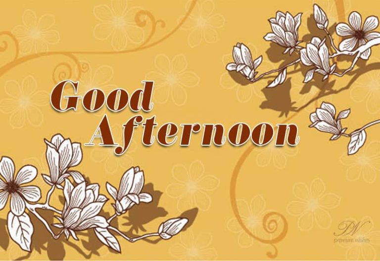 Good Afternoon Wishes