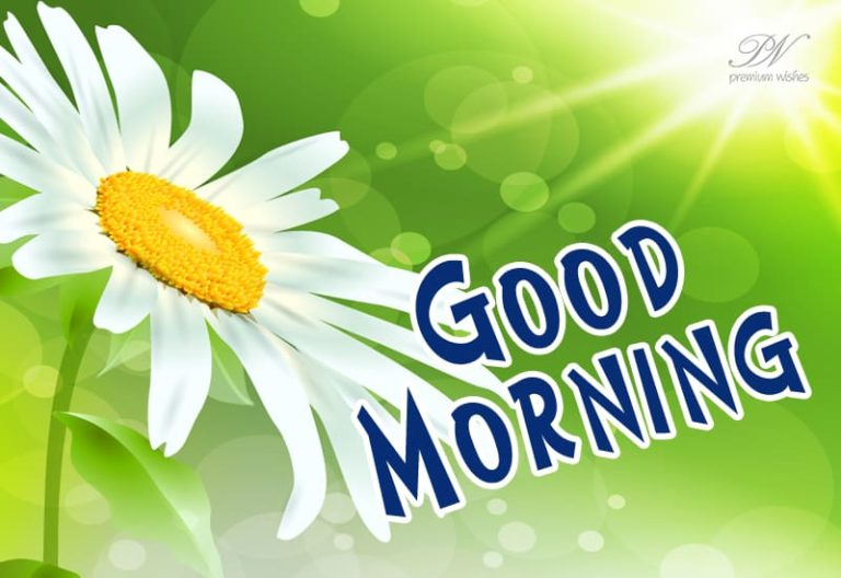 Good Morning Friends – Enjoy The Warmth Of The Sun