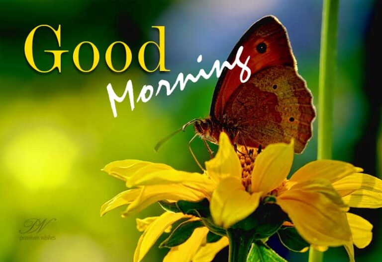 Good Morning – Enjoy the season