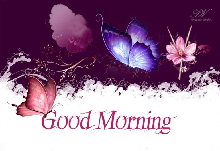 Nature Enchants – Good Morning