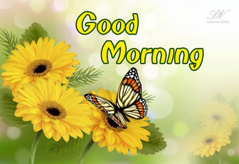 Good Morning – Enjoy Nature and Its Beauty