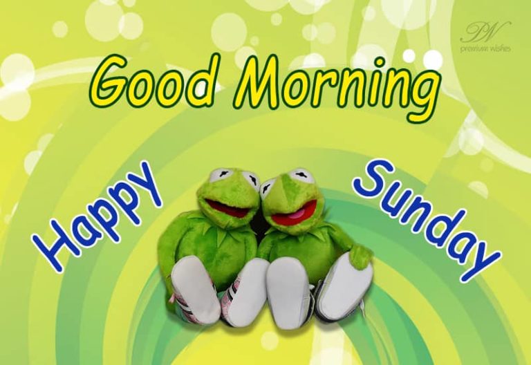 Happy Sunday – Enjoy the day