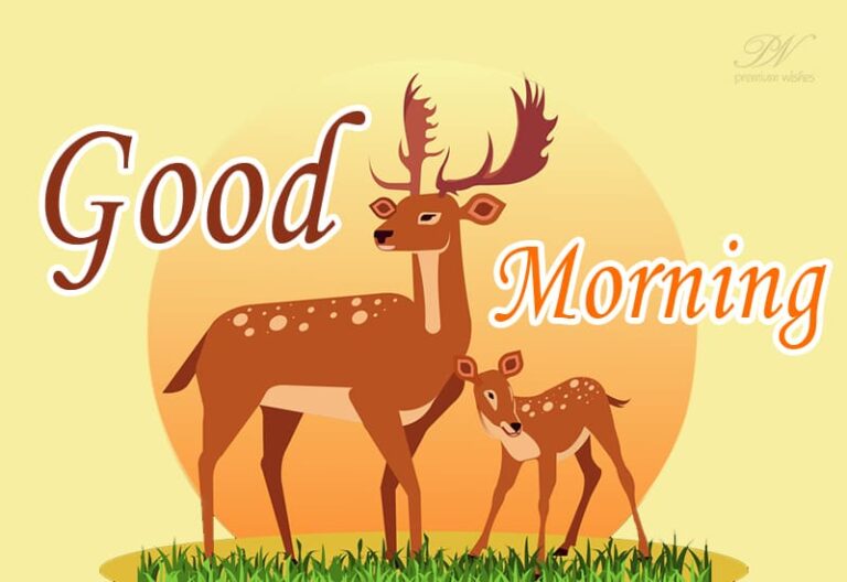 Good Morning – Enjoy the day with mother nature