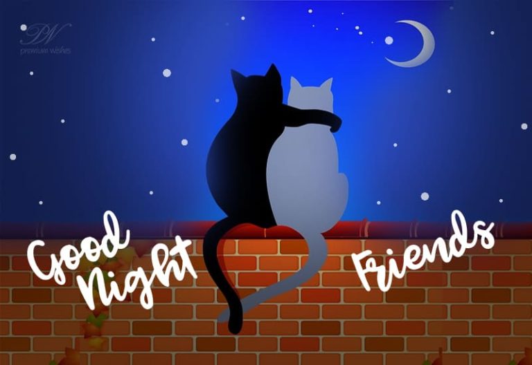 Good Night Wishes