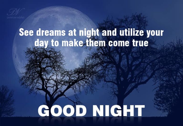Good Night Wishes