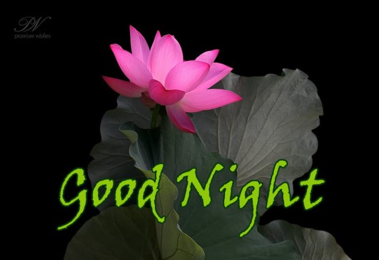 Good Night Wishes