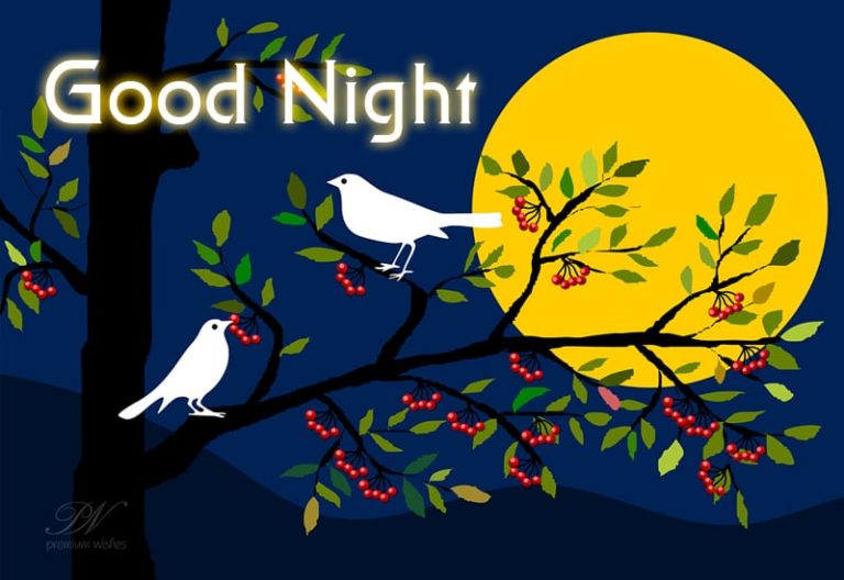 Good Night Wishes