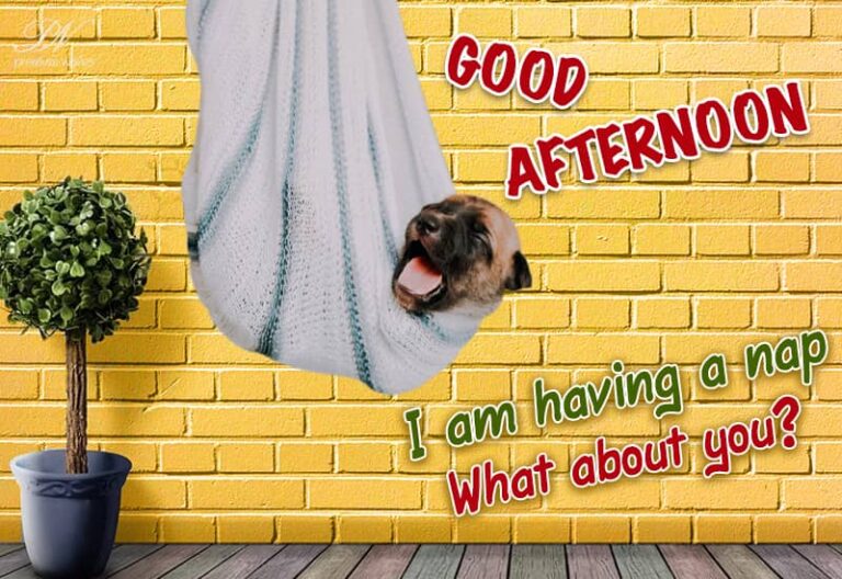 Good Afternoon Wishes