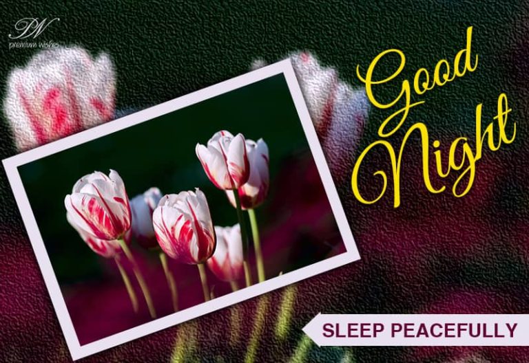 Good Night Wishes